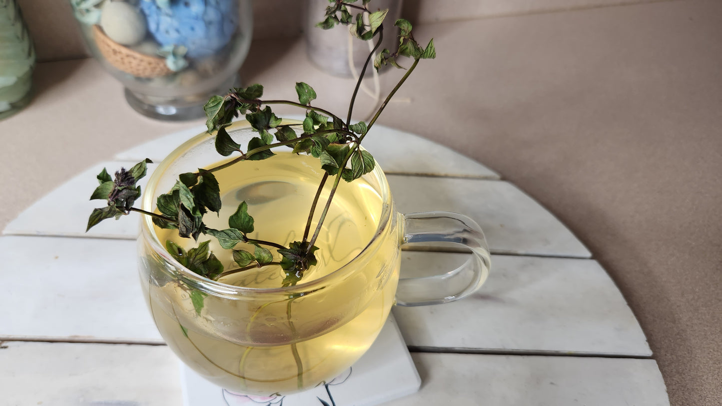 Health Boosting Mocktails Virtual Mixology Class Experience