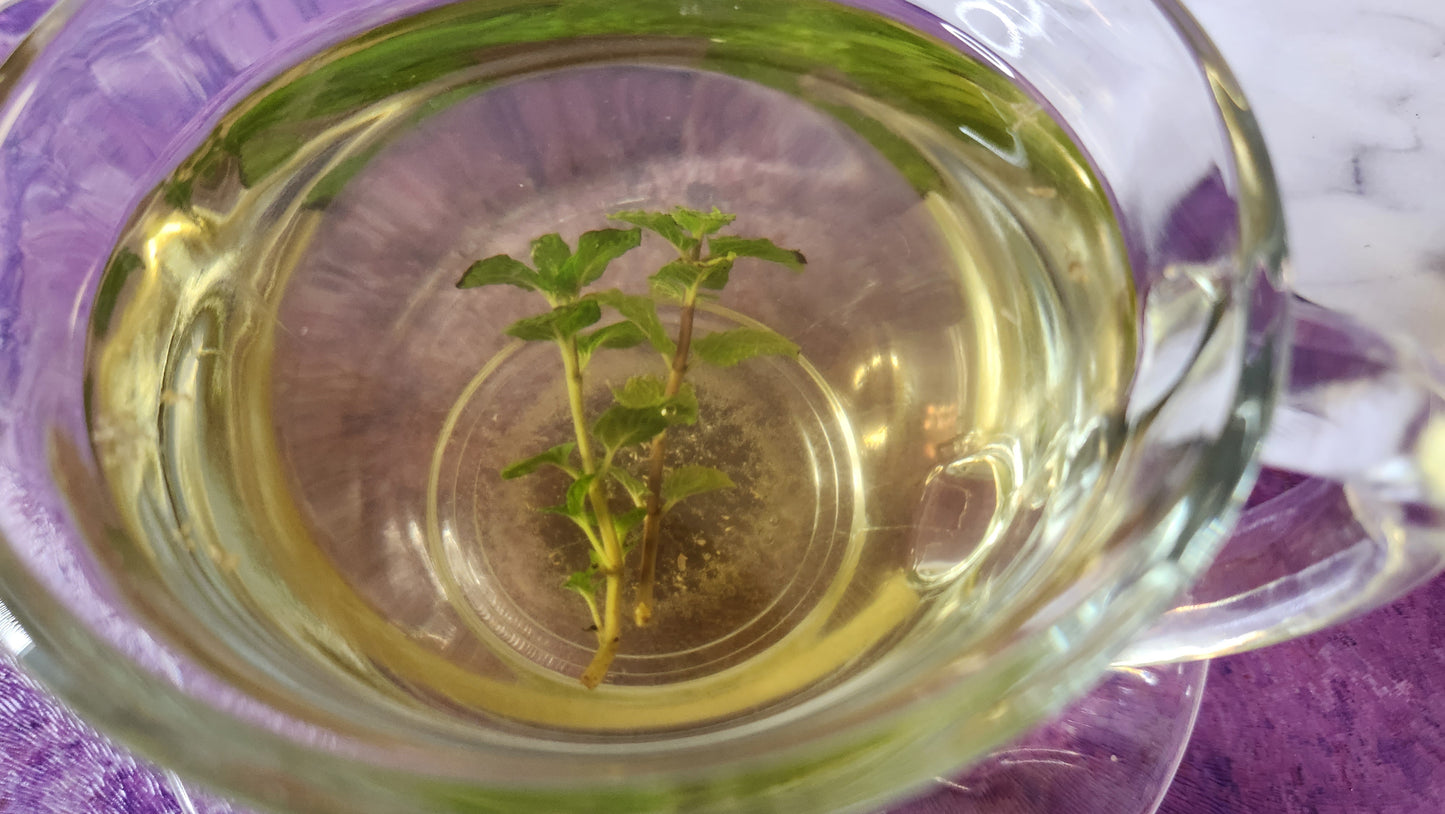 Health Boosting Mocktails Virtual Mixology Class Experience